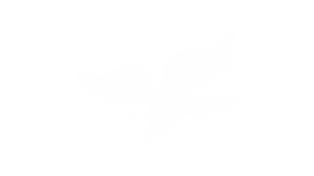 image of an eagle patriot landscaping