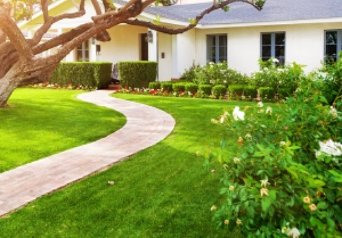 Lawn Maintenance in Lexington SC