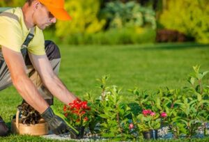 Landscaping in Lexington SC