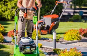 Landscape maintenance in Lexington SC