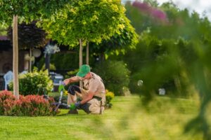 Landscaping-services-in-Lexington-SC-300x200.jpg