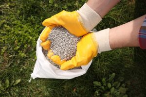 Fertilizing services in Lexington SC