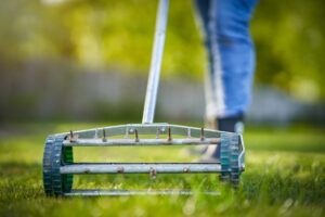 Lawn aeration in Lexington SC