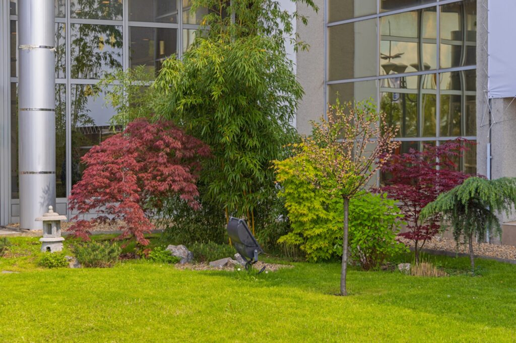 commercial landscaping in Lexington SC