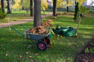 lawn care in Lexington SC