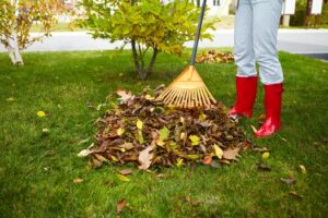 Lawn preparation in Lexington SC