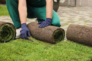 Sod services in Lexington SC
