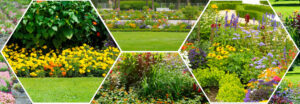 landscaping services