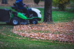 Lawn care Lexington SC
