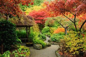 fall landscaping in Lexington SC